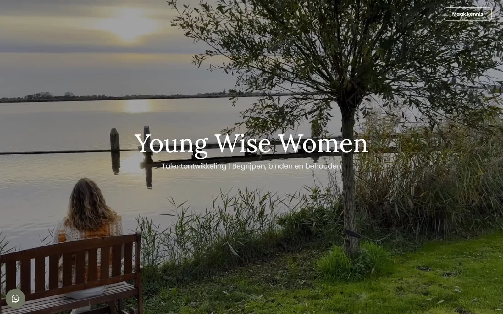 Young Wise Women: Growth scan, brand and ongoing marketing for a B2B brand